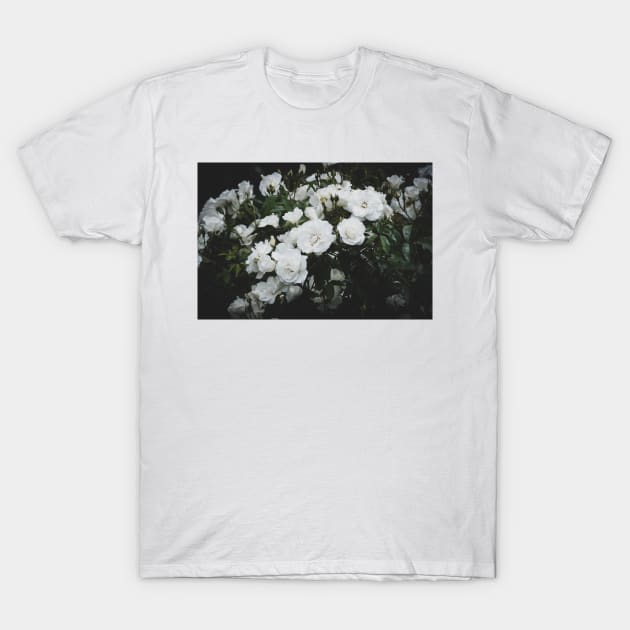 White Roses at Dusk T-Shirt by Amy-K-Mitchell